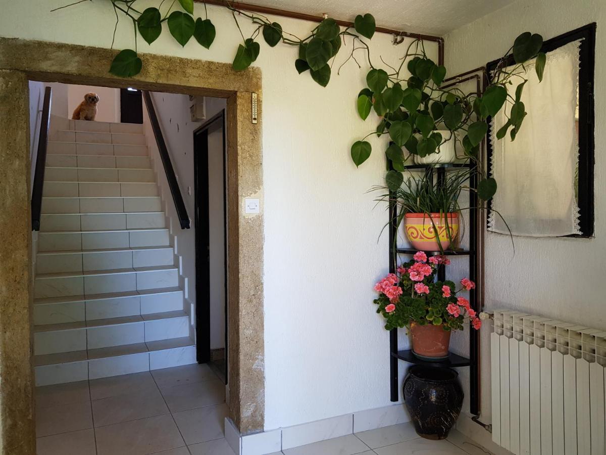 Apartment Melanie Skrbčići Eksteriør billede