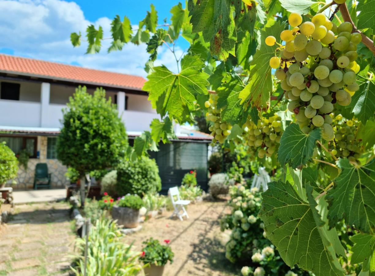Apartment Melanie Skrbčići Eksteriør billede
